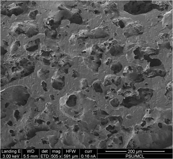 SEM image2